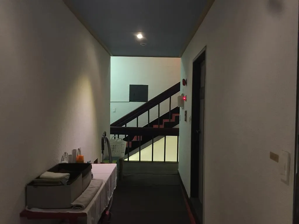Backpackers In Jeju City Center